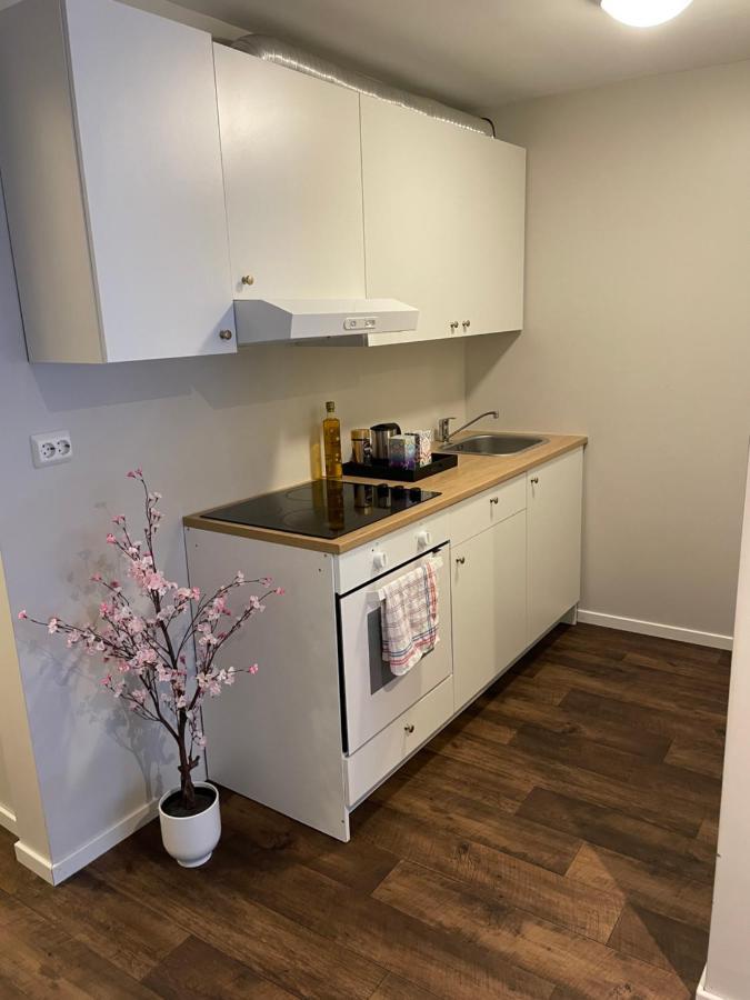 Central Studio Apartment 斯塔万格 外观 照片