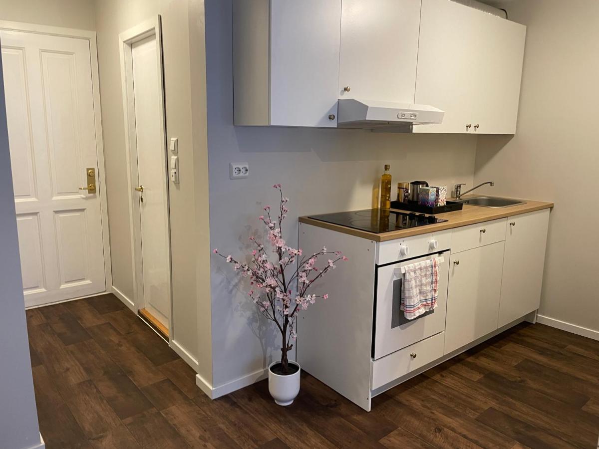 Central Studio Apartment 斯塔万格 外观 照片